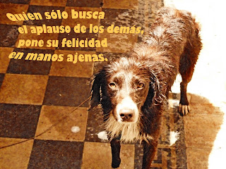 juandiegodemo's tweet photo. hace mucho que dejé de buscar a Pancho Fuentes pero si lo ven avisen, ya debería tener 16. https://t.co/RhHS6CCrzx