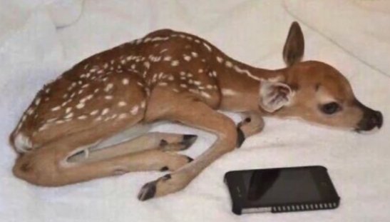 ­­ ­ ­­ ­ ­­ ­­mikhaela, ℬ. tweet media