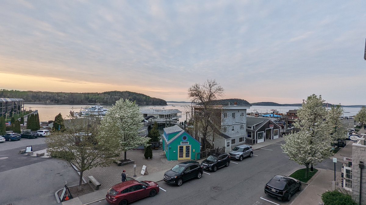 🪷 𝑳𝒐𝒗𝒆𝒍𝒚 𝑺𝒖𝒎𝒎𝒆𝒓 🪷 Joplin Missouri tweet media