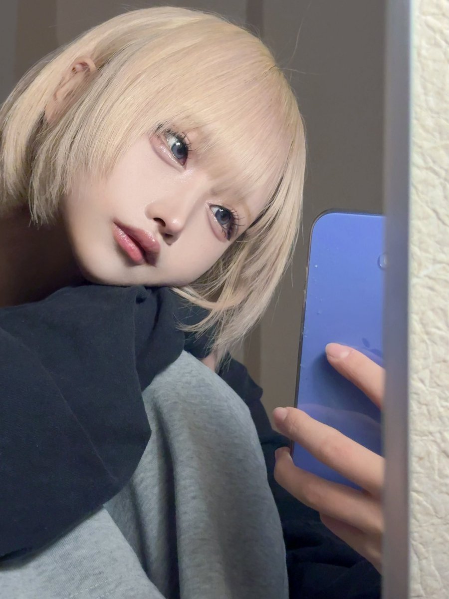 ALM【シュレ犬】 tweet media