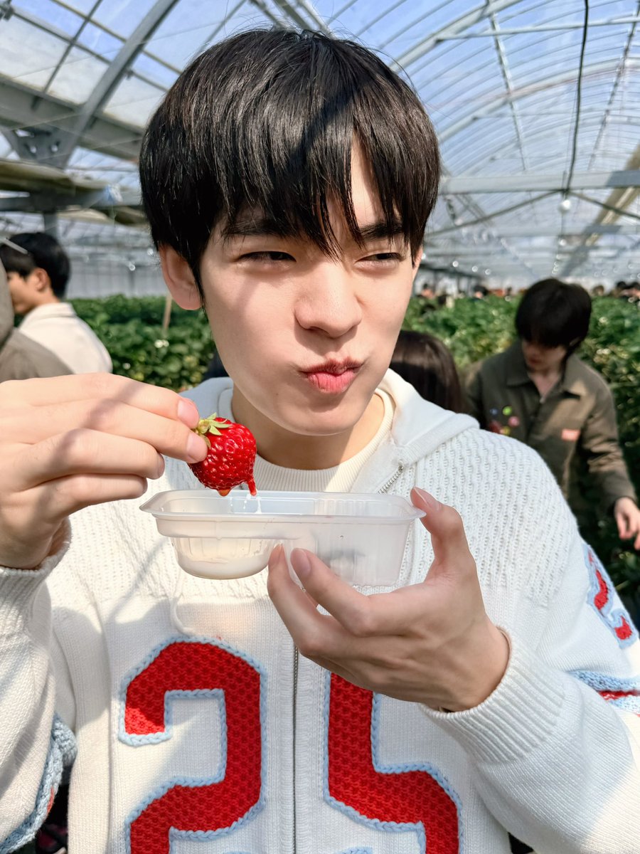 BirdCanDo tweet media