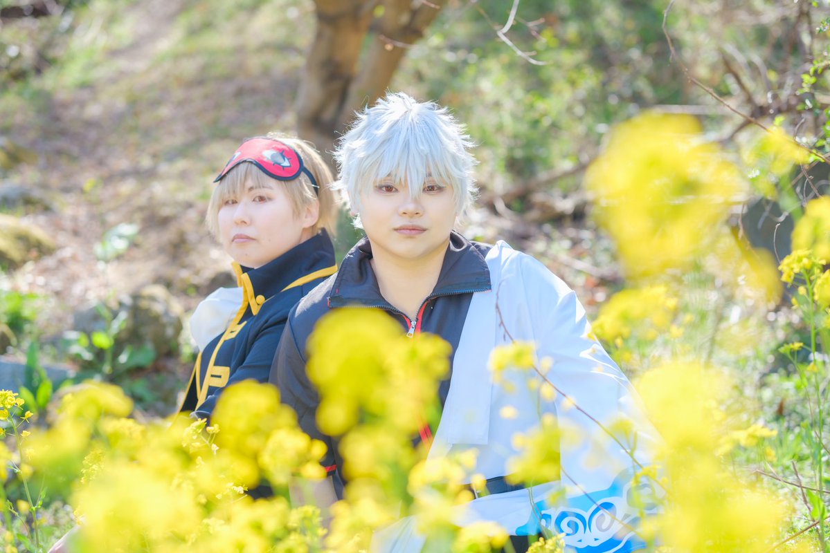 鴒(レイ) tweet media