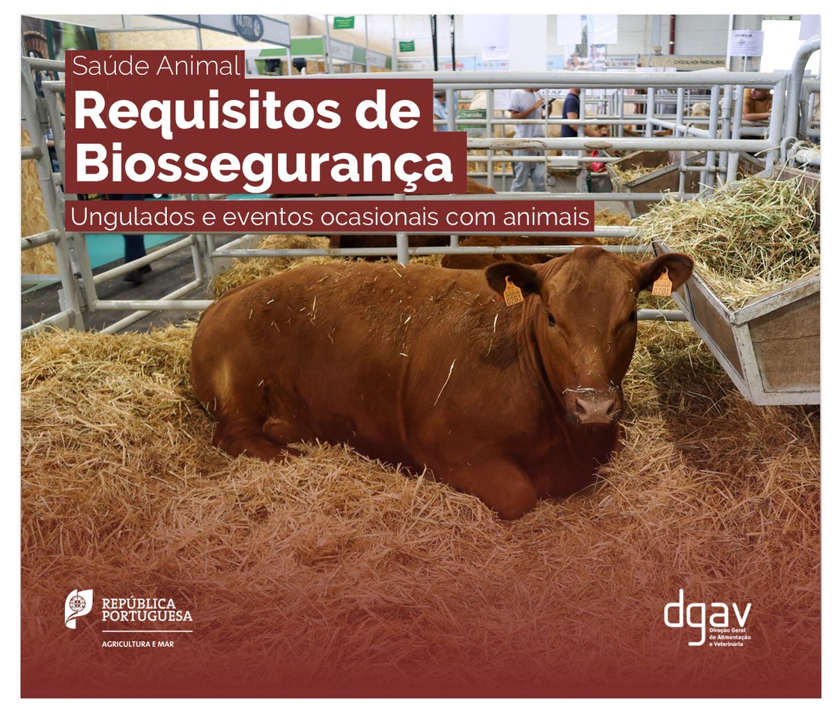 DGAV - Direção-Geral de Alimentação e Veterinária tweet media