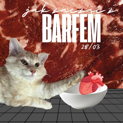 AikoRot🔪🩸Yandere Vtuber tweet media