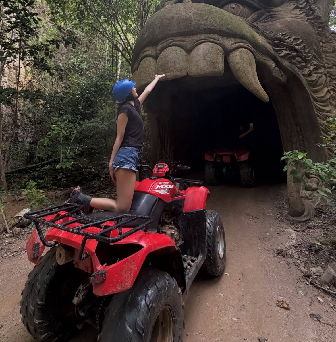 lana LISA DAY tweet media