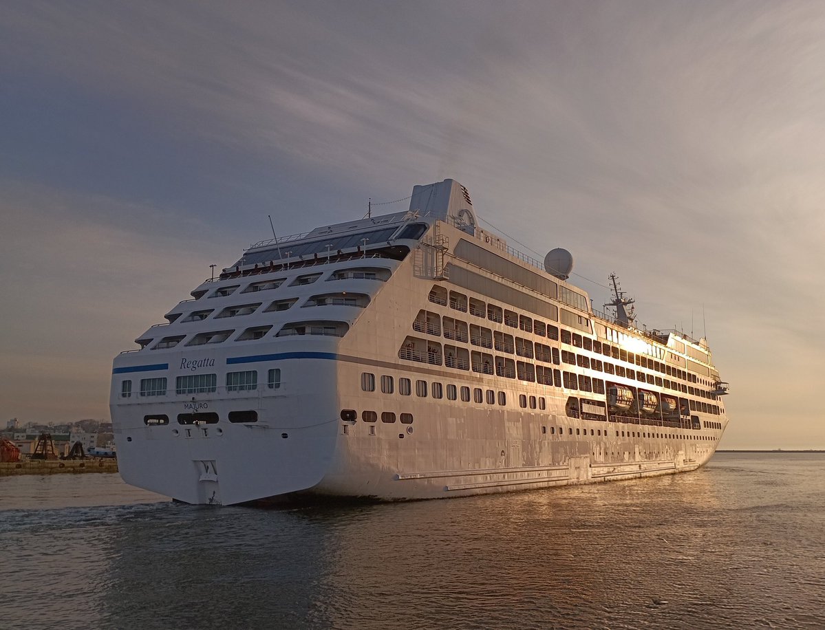 Leo Schmalhofer tweet media