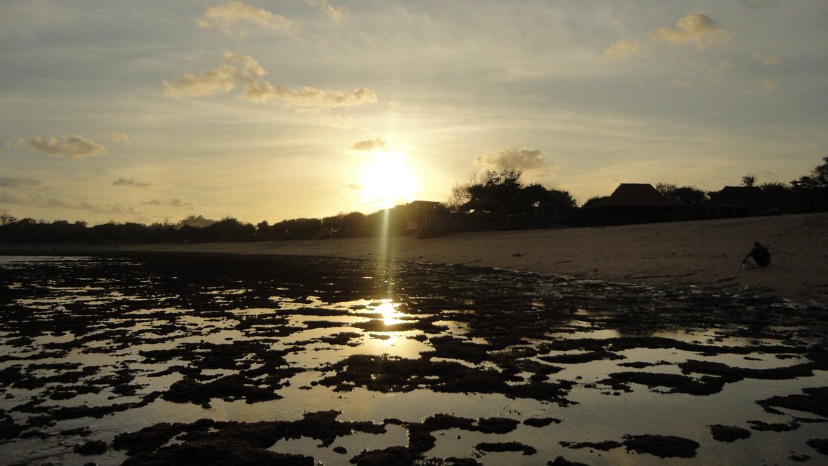 ︎amiyu tweet media