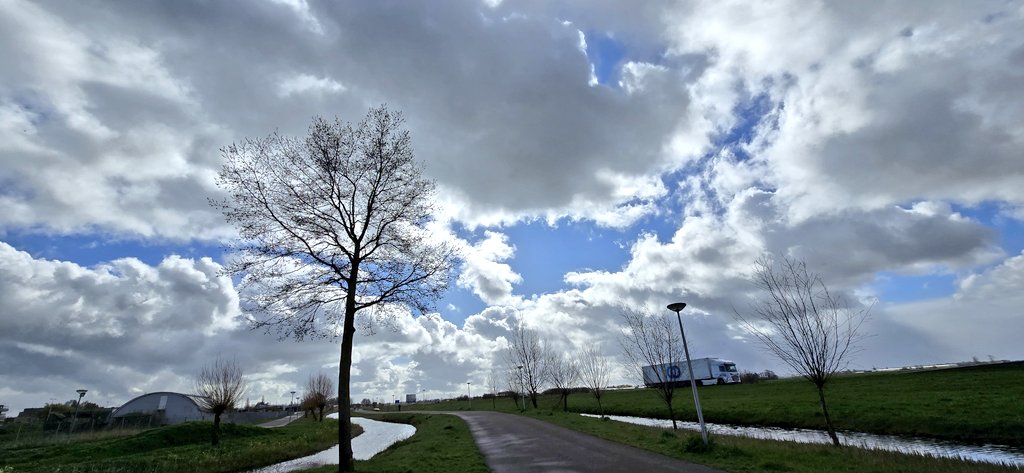 Martin Lamboo tweet media