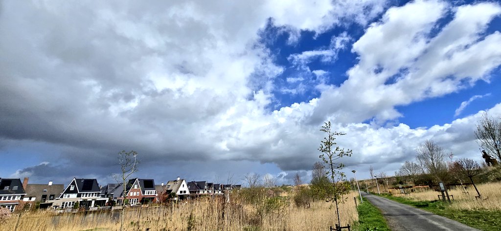 Martin Lamboo tweet media