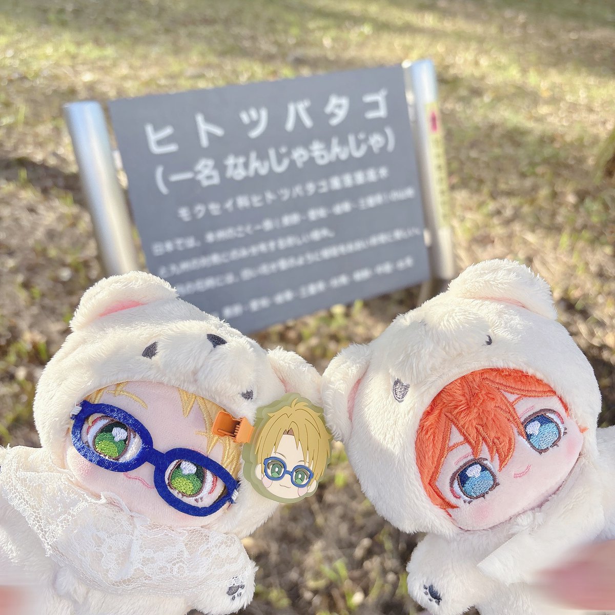 とうか tweet media