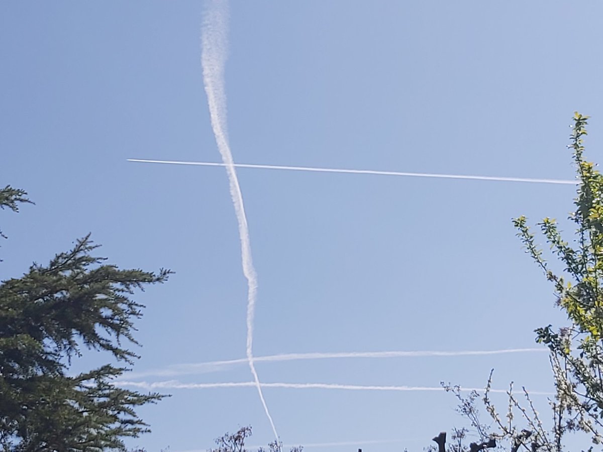 @purereason1972 tweet media