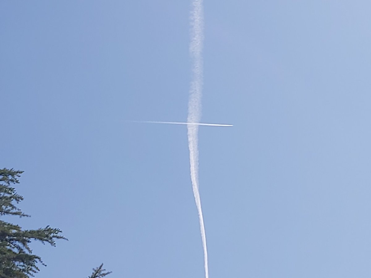 @purereason1972 tweet media