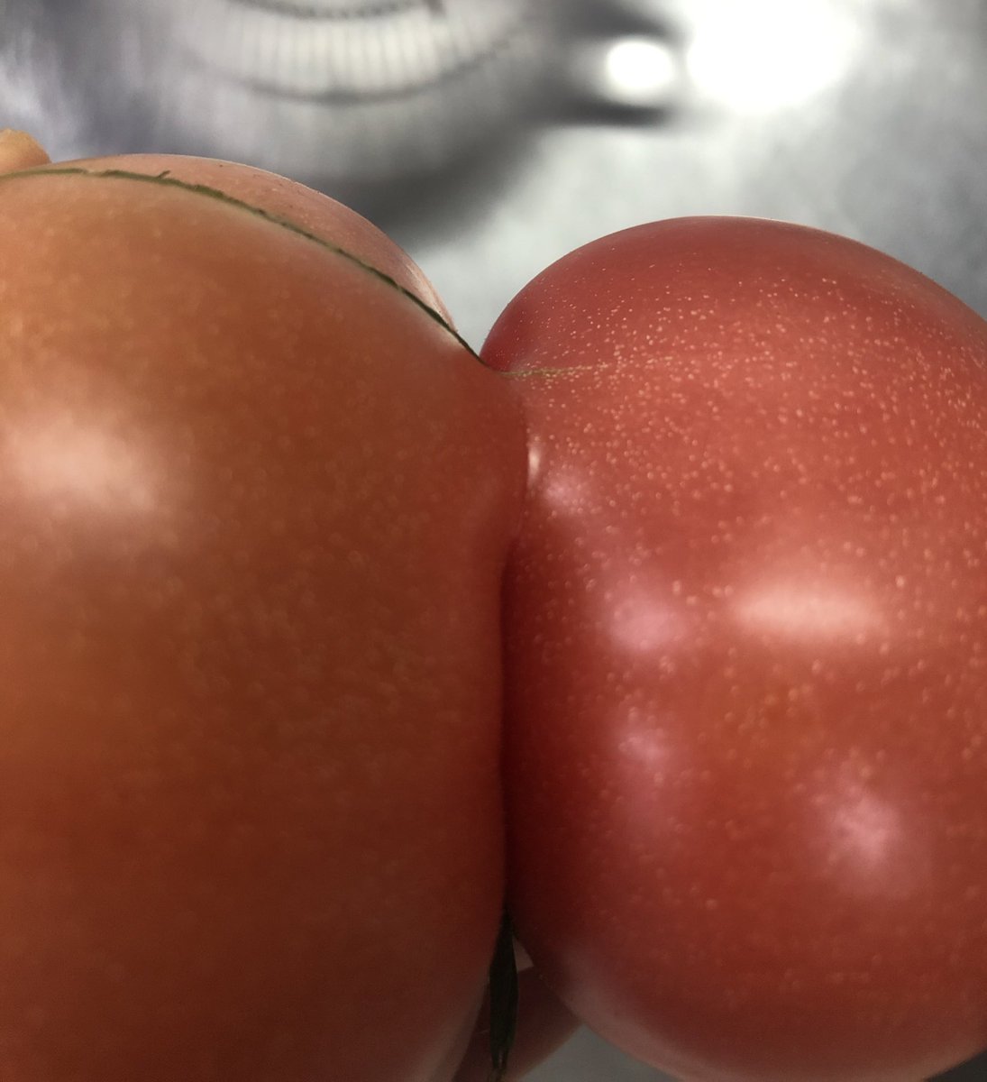 おんせんせ tweet media