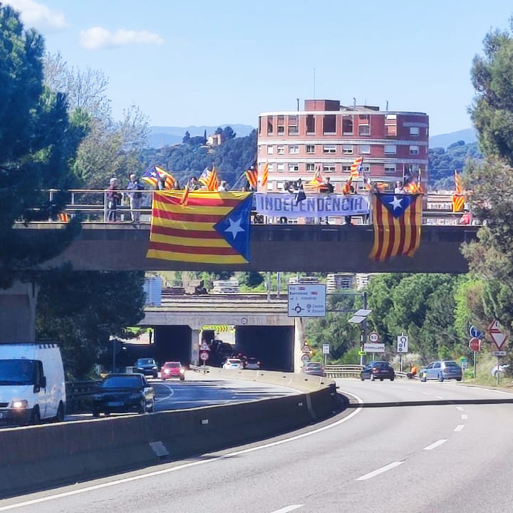 Granollers Primàries tweet media