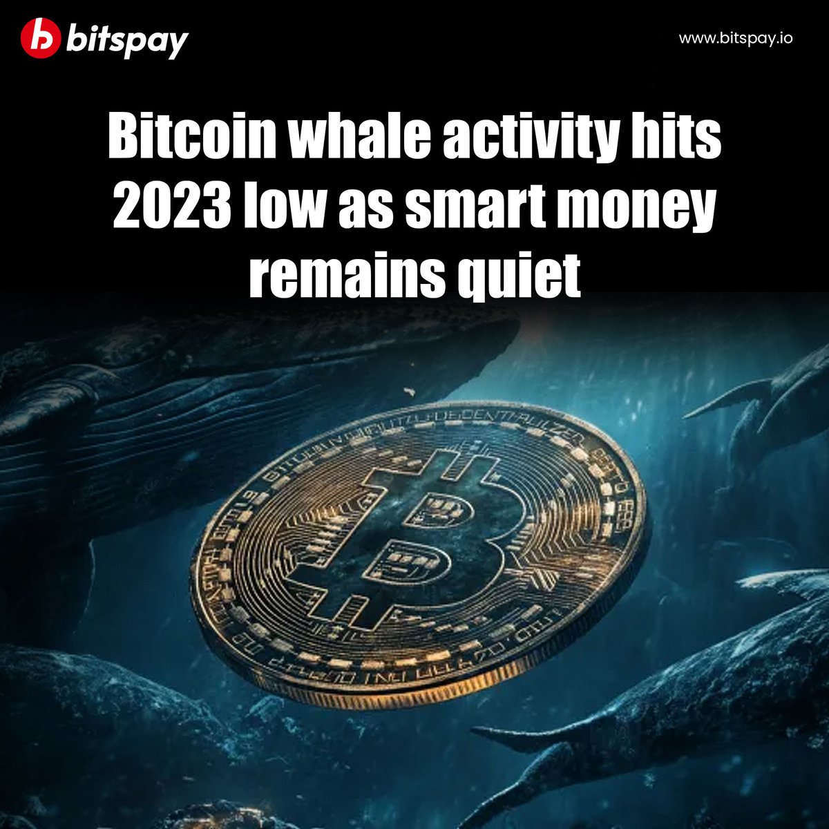 Bitspay tweet media