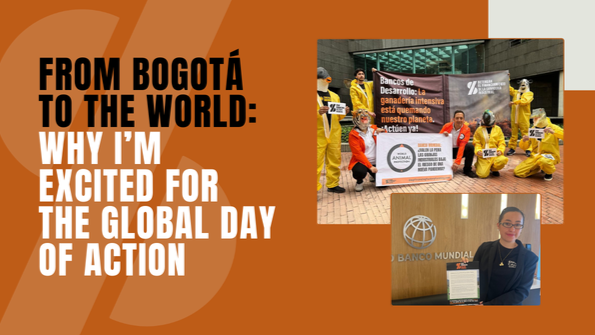 4accountability's tweet photo. 👏Read about Ricardo's reflection about collaborations on raising awareness on the impacts of industrial livestock expansion: https://t.co/qdyIIFtqnv

Agroecology and community agriculture help people and planet thrive. 

Join the Global Day of Action 👉 https://t.co/8gL7VOlkNu https://t.co/MBmfGDS9rh