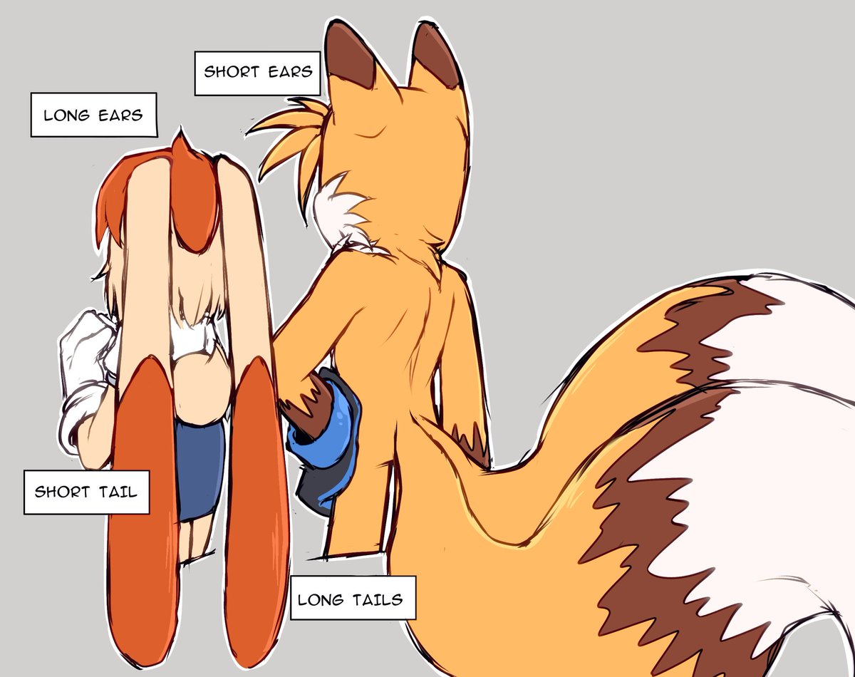 ° ᗯendy ° tweet media