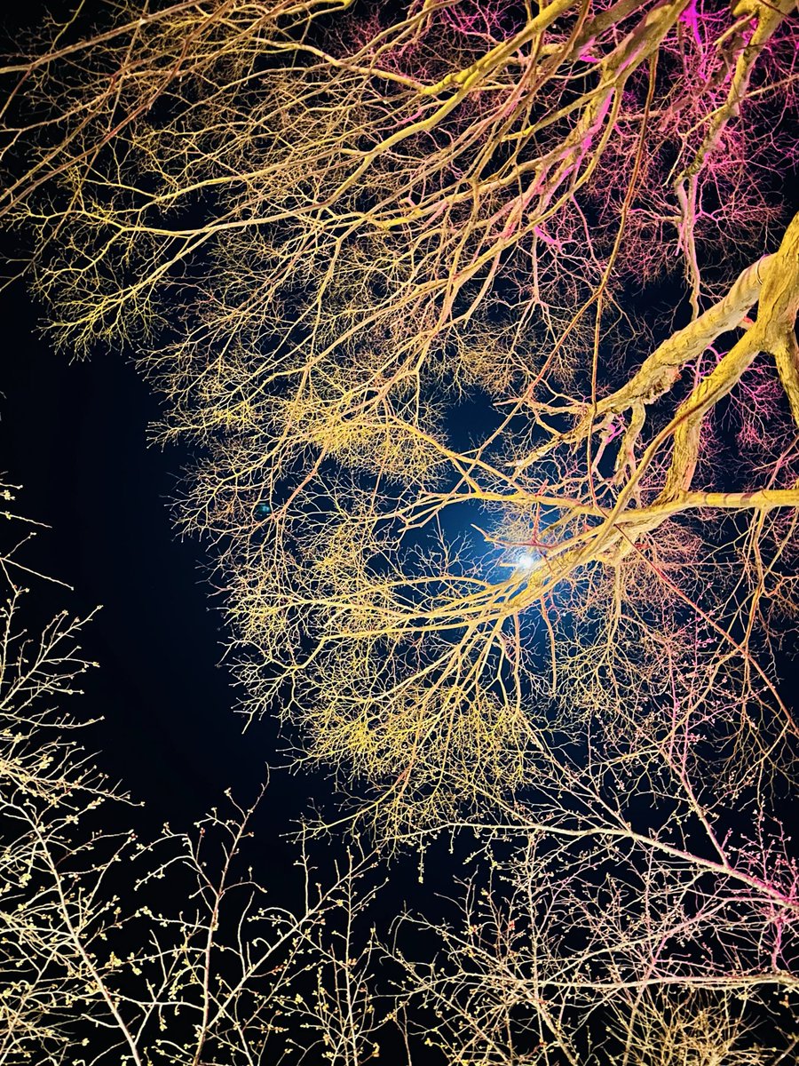 国山世良子 tweet media