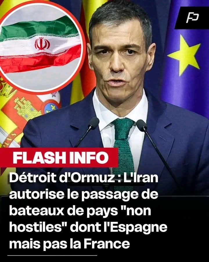 Paul Dohen 🐢🔺🍉 tweet media