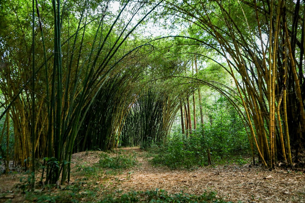 MTN Uganda Foundation tweet media