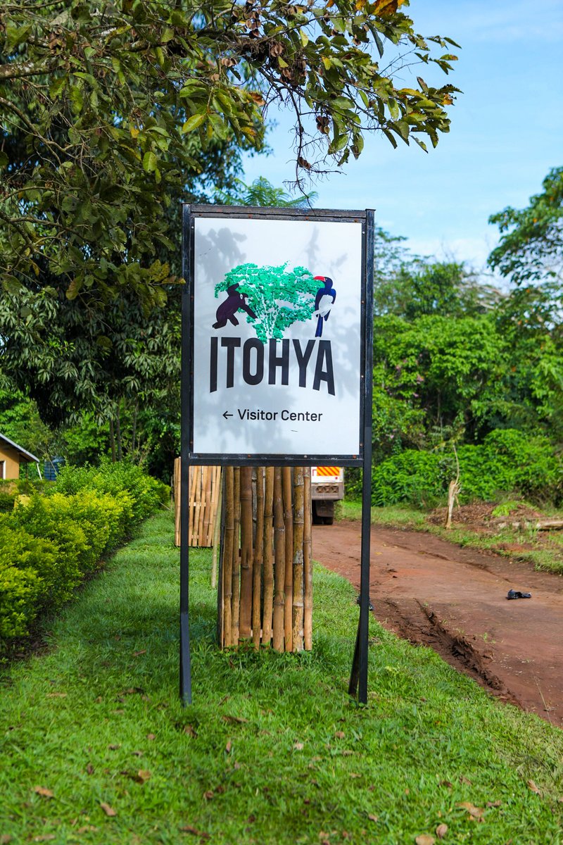 MTN Uganda Foundation tweet media