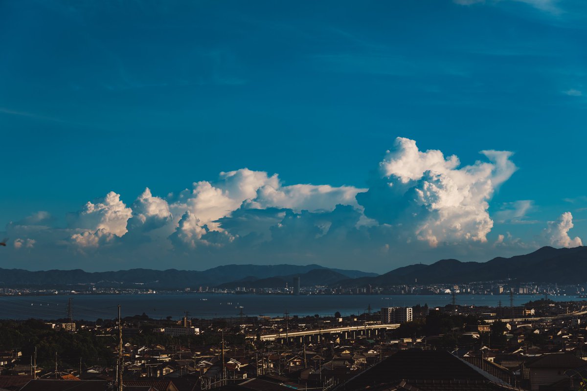 🕊 𓂃𓈒 𓂂𓏸 tweet media