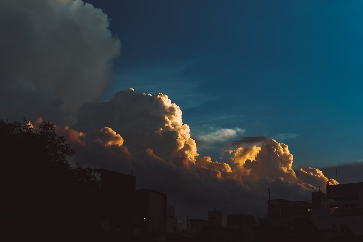 🕊 𓂃𓈒 𓂂𓏸 tweet media