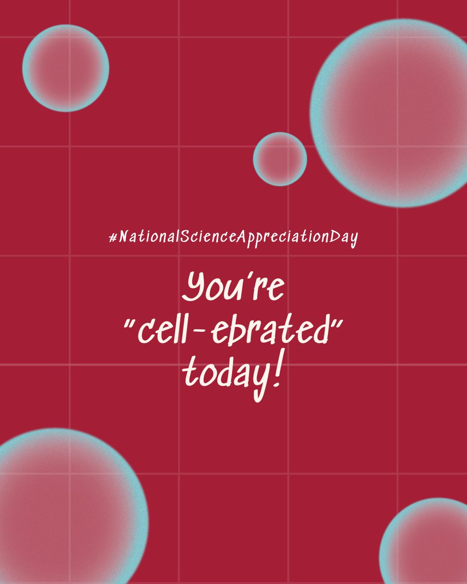 Temple College of Education and Human Development tweet media