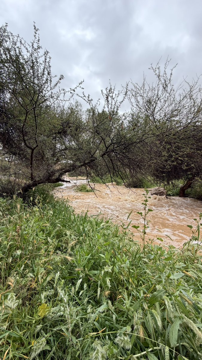 علي سليمان tweet media