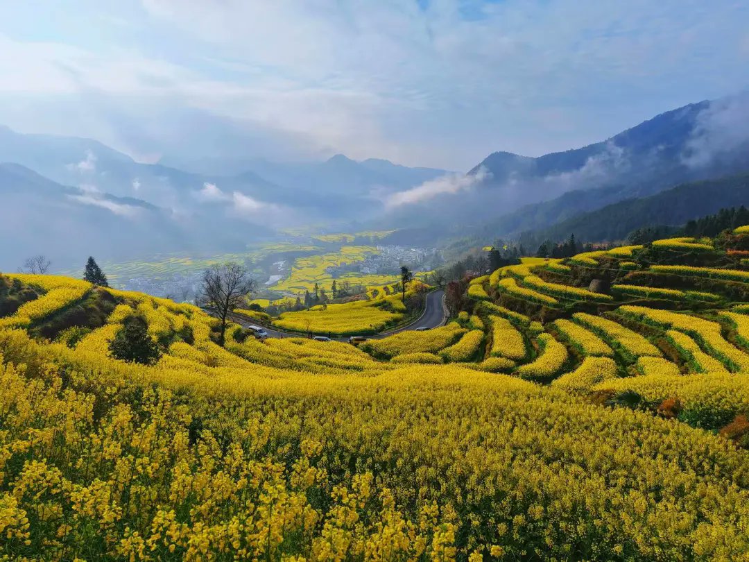 Discover Jiangxi tweet media