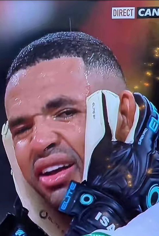 Mockingbird tweet media