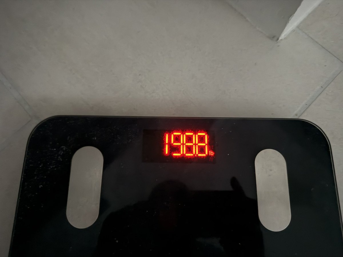 Bearded Tesla tweet media