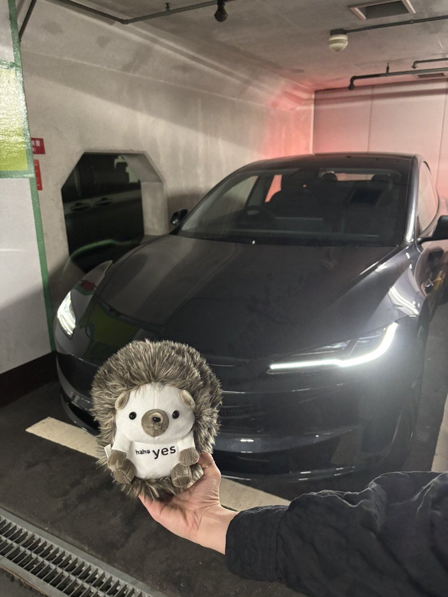 waityucarlife's tweet image. 本日モデル3納車されました！！

初めてのEVですが、最高です！
静粛性が半端ないし、加速ヤバい！

テスラ乗りの皆様よろしくお願いします！
納車場所は名古屋の栄ですが、ハリネズミ貰えました！
数量限定らしいので早めに行くことをお勧めします

#テスラ　#モデル3   #納車