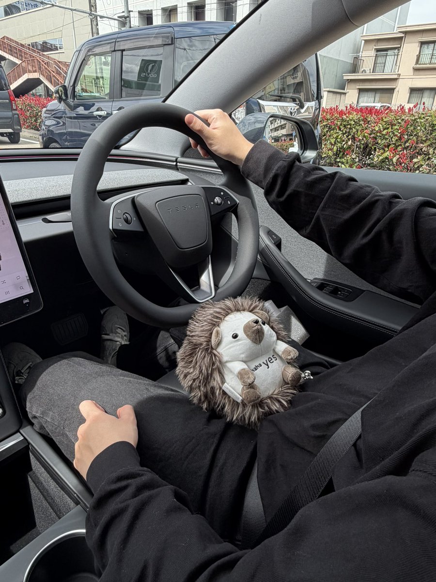waityucarlife's tweet image. 本日モデル3納車されました！！

初めてのEVですが、最高です！
静粛性が半端ないし、加速ヤバい！

テスラ乗りの皆様よろしくお願いします！
納車場所は名古屋の栄ですが、ハリネズミ貰えました！
数量限定らしいので早めに行くことをお勧めします

#テスラ　#モデル3   #納車