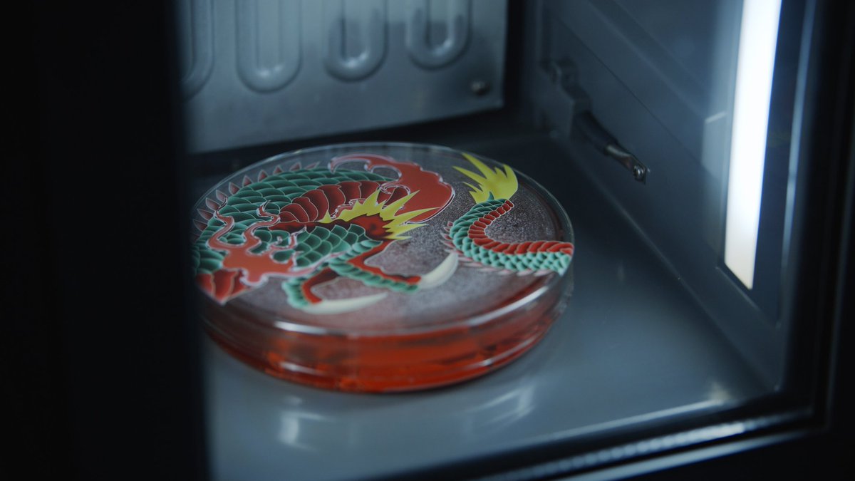 LOM BABY tweet media