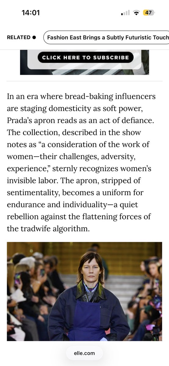 giù 🍪 tweet media