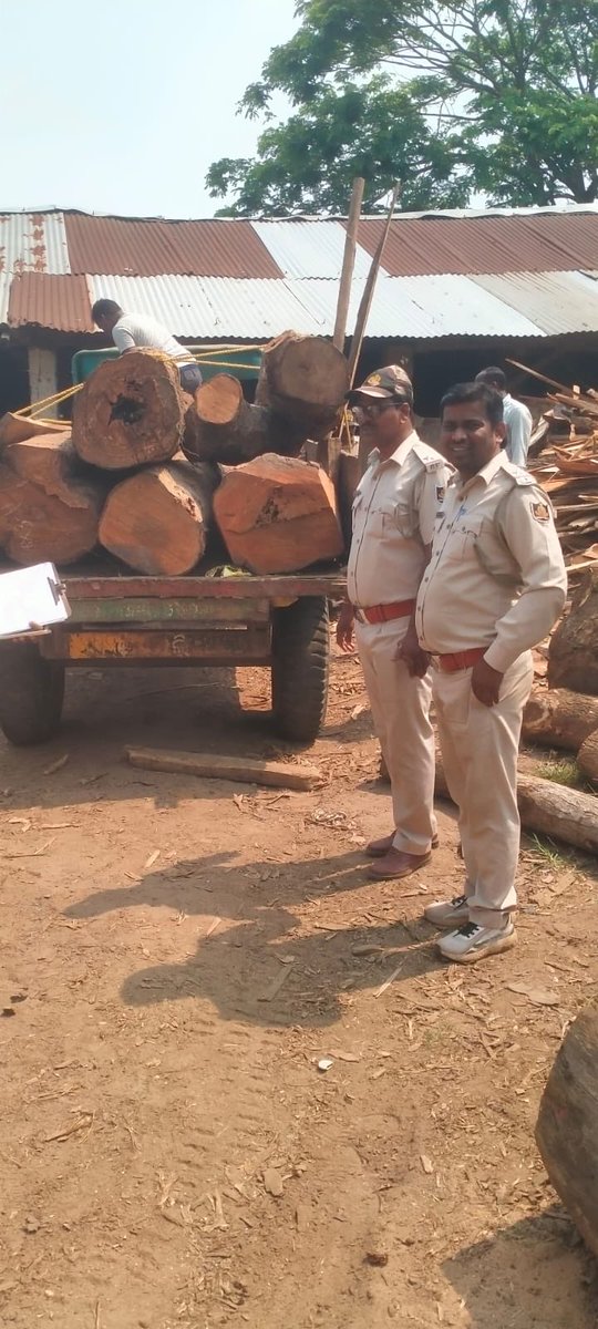 OdishaVigilance's tweet image. In a joint forest raid conducted today by the forest wing of #Odisha #Vigilance on running of an illegal sawmill at Vill-Bilasuni, PS- Niali, #Cuttack, sawmill accessories &amp;amp; illegal hoarding along with valuable timber of 76.796 cft worth Rs.14,08,292/-detected &amp;amp; seized.