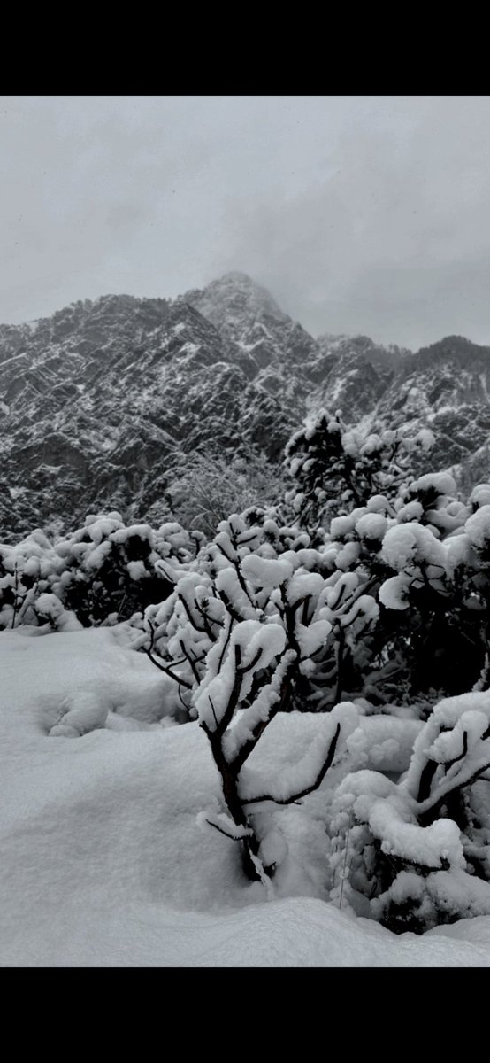 Moa in luv 🩵🪽 tweet media