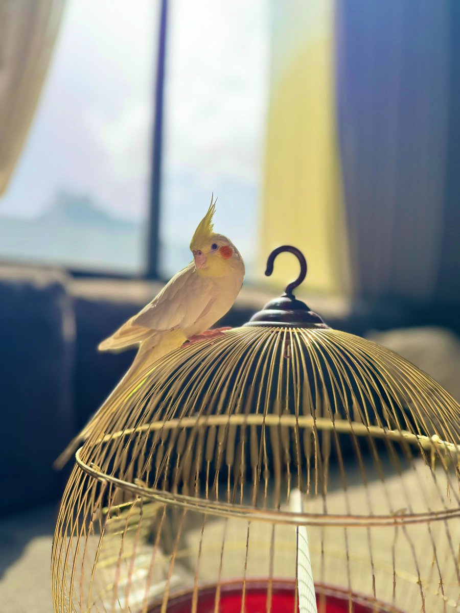 𝕄𝕊𝕁 tweet media