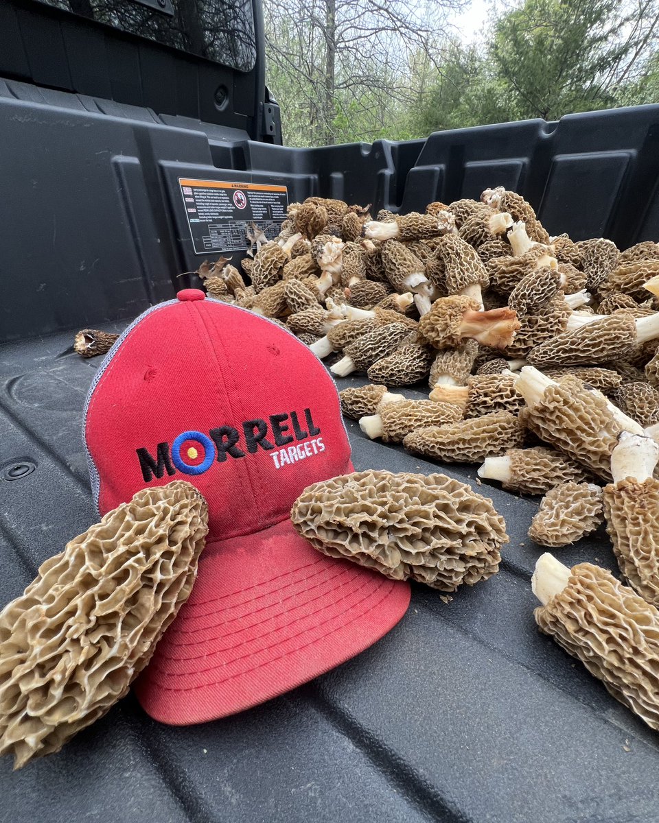 Morrell®️ Targets tweet media