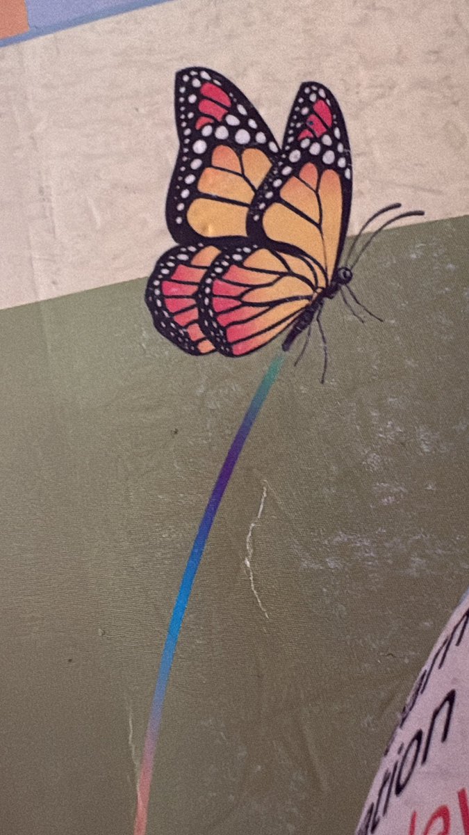 Gül CAN tweet media