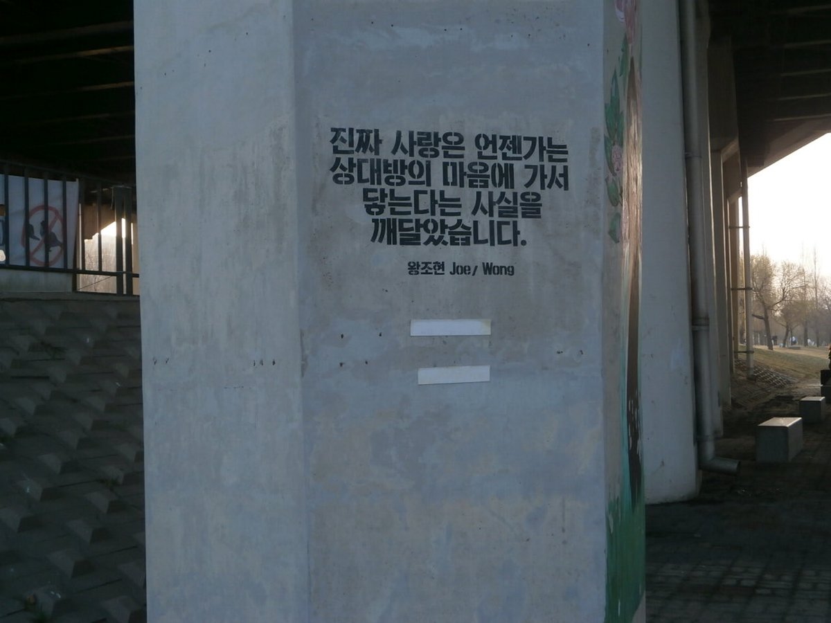 우린젊다 tweet media