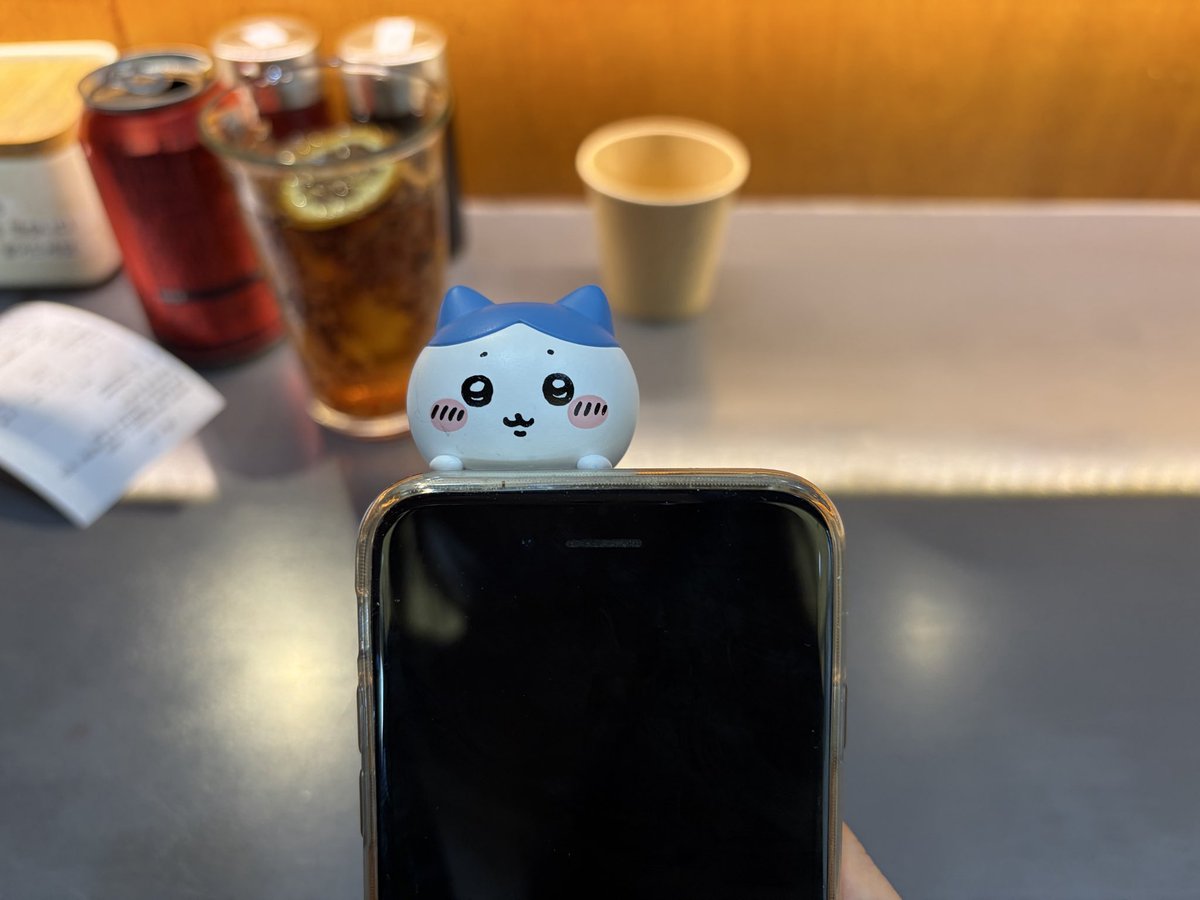 우린젊다 tweet media