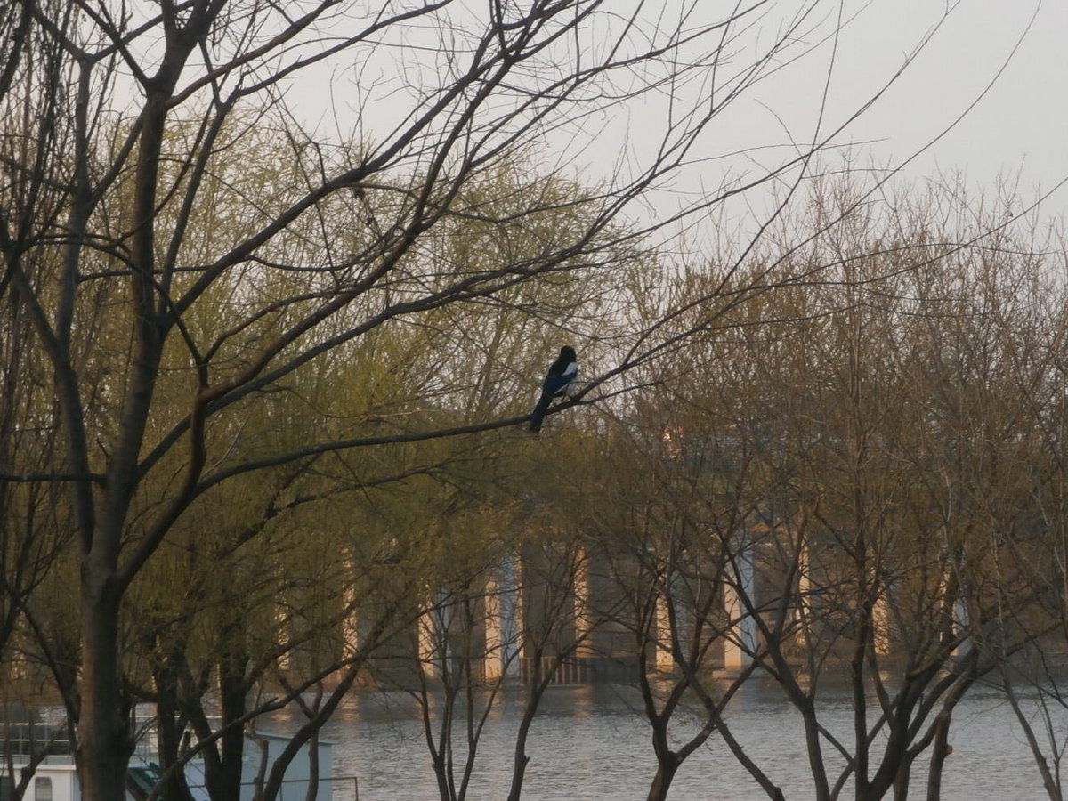 우린젊다 tweet media