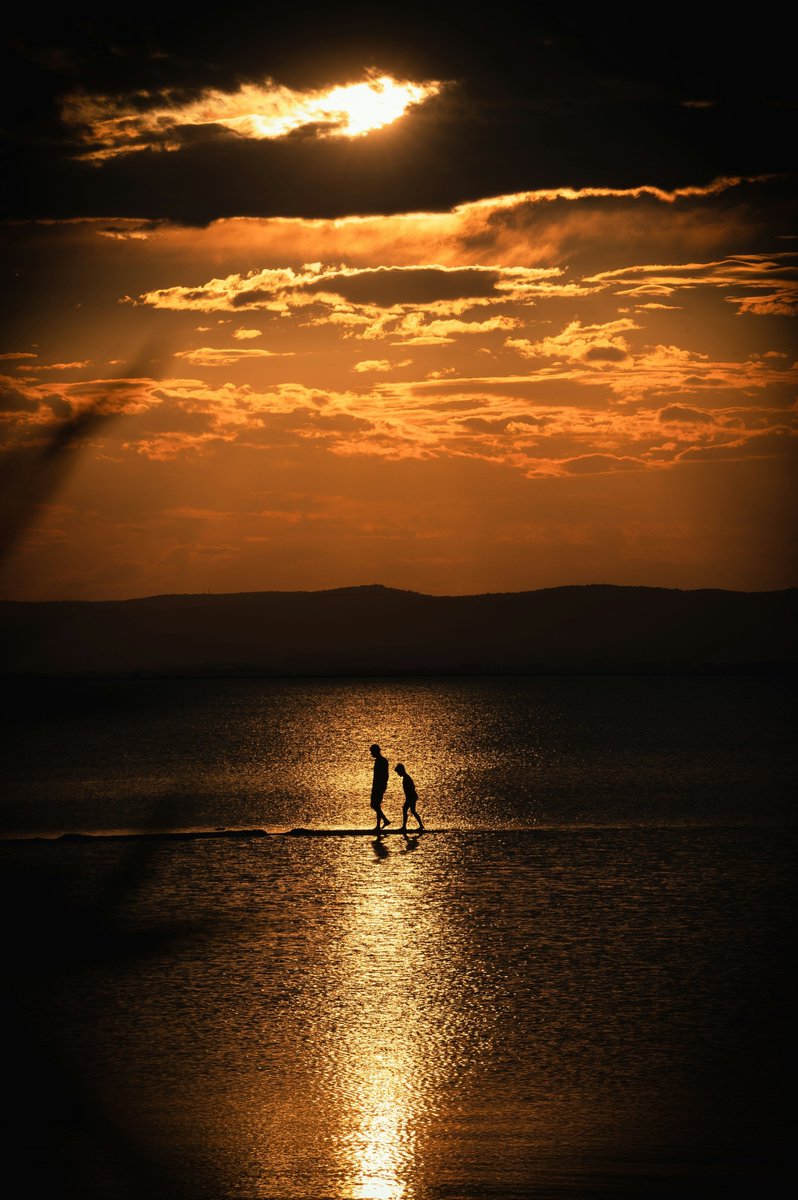 Unsplash tweet media