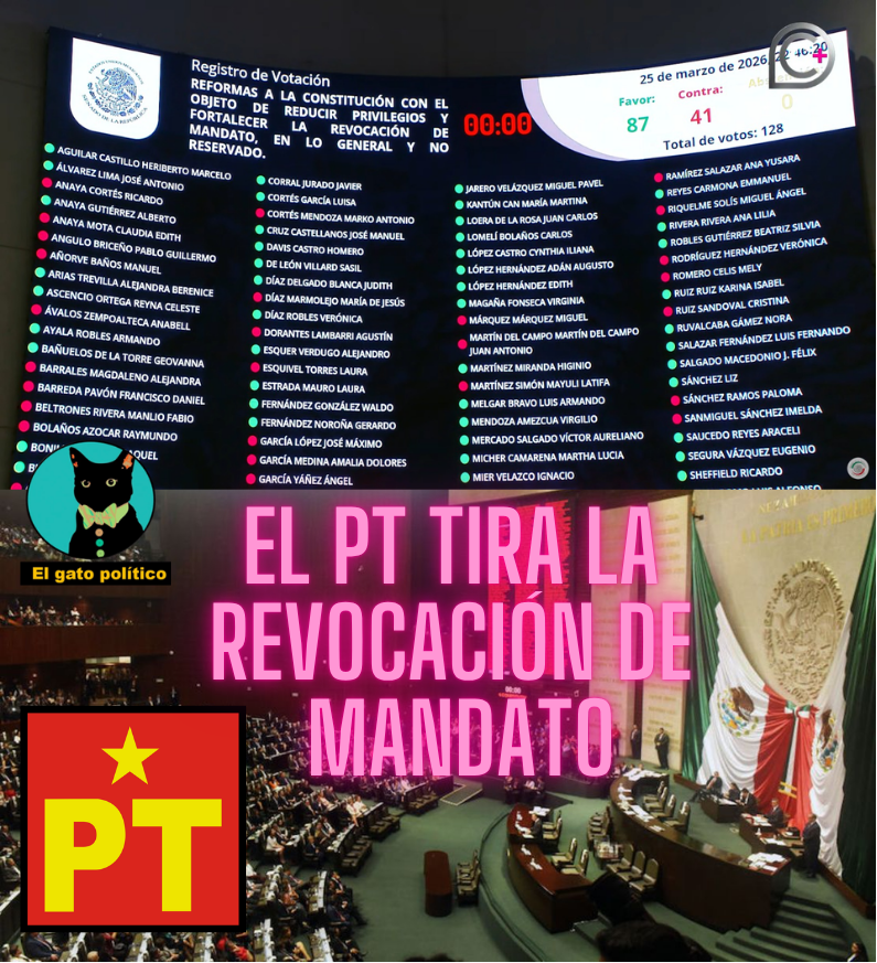 El gato político tweet media