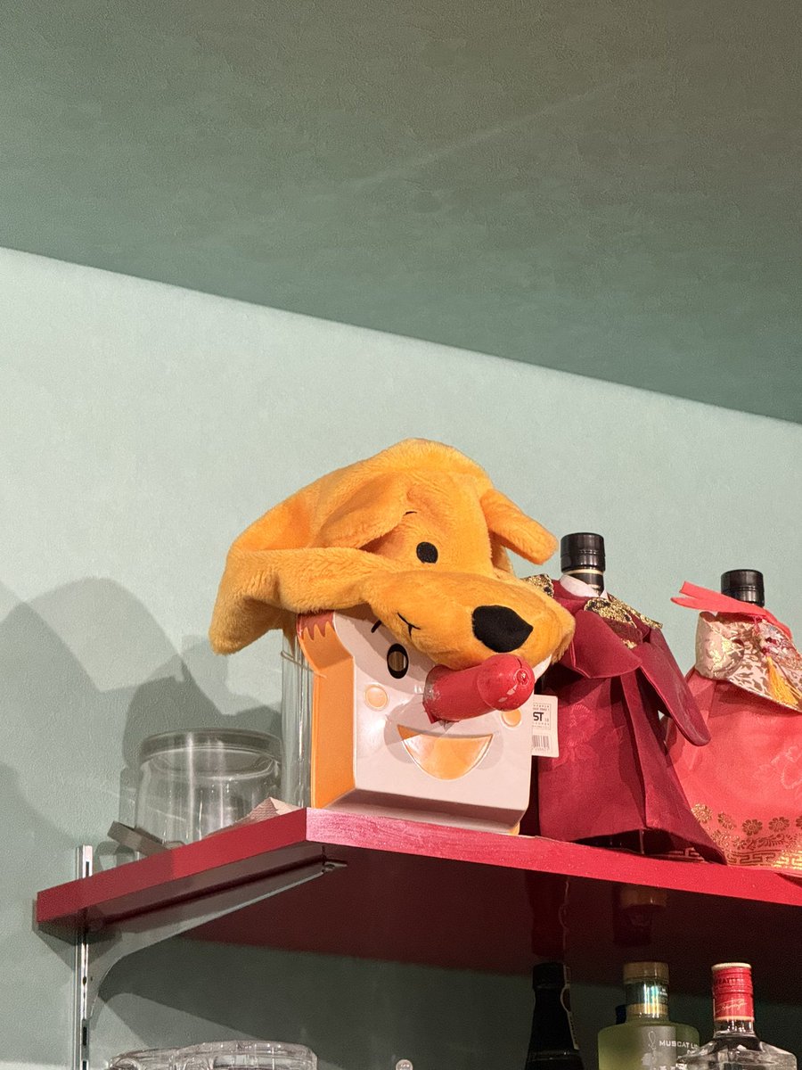 NekoDOSは休みが欲しい tweet media