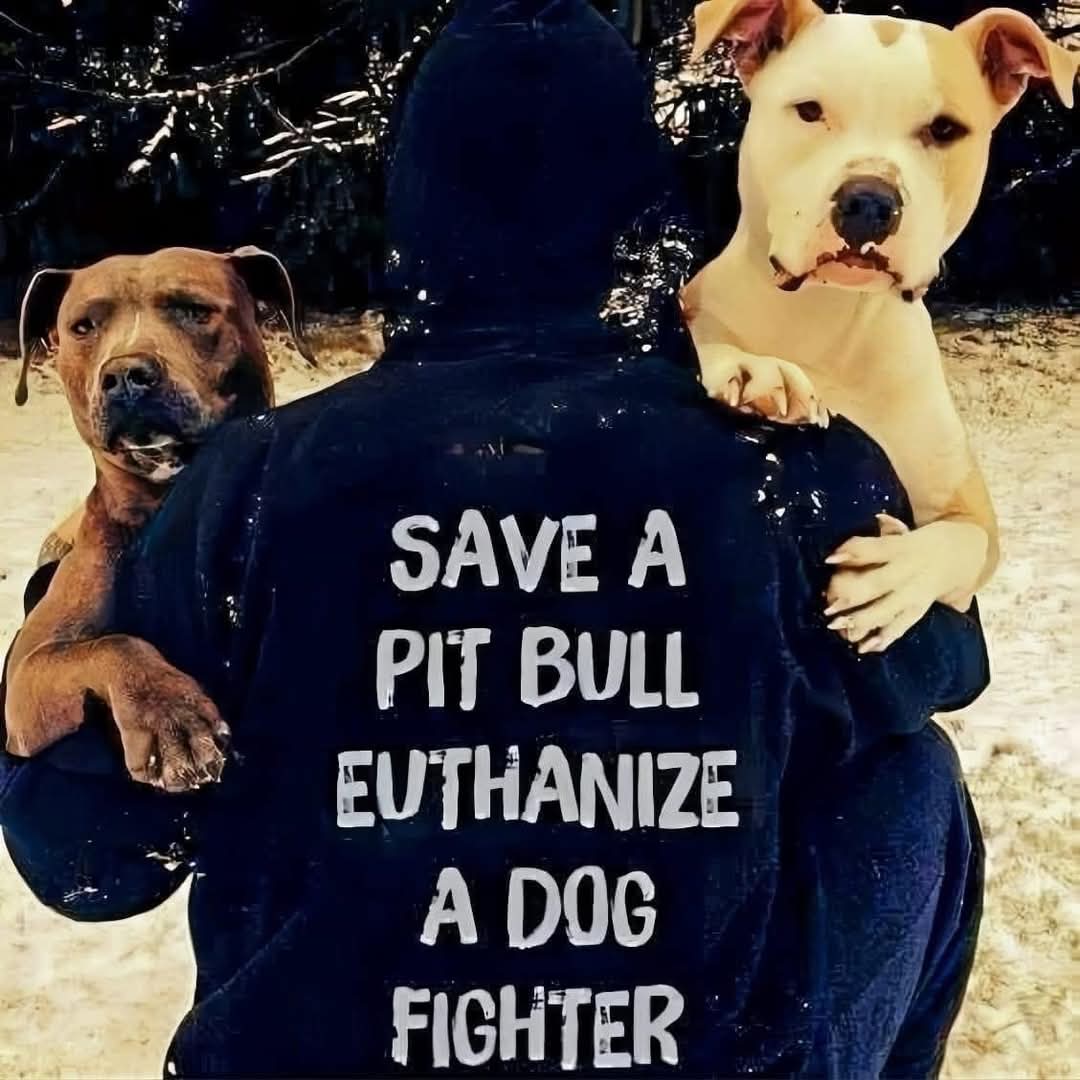 Roger dorp tweet media