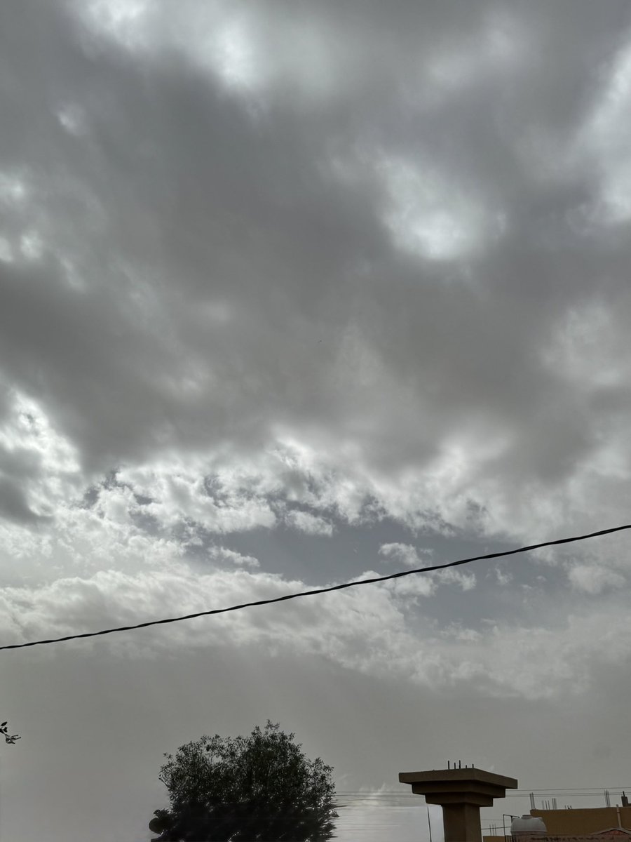 غدِير. tweet media