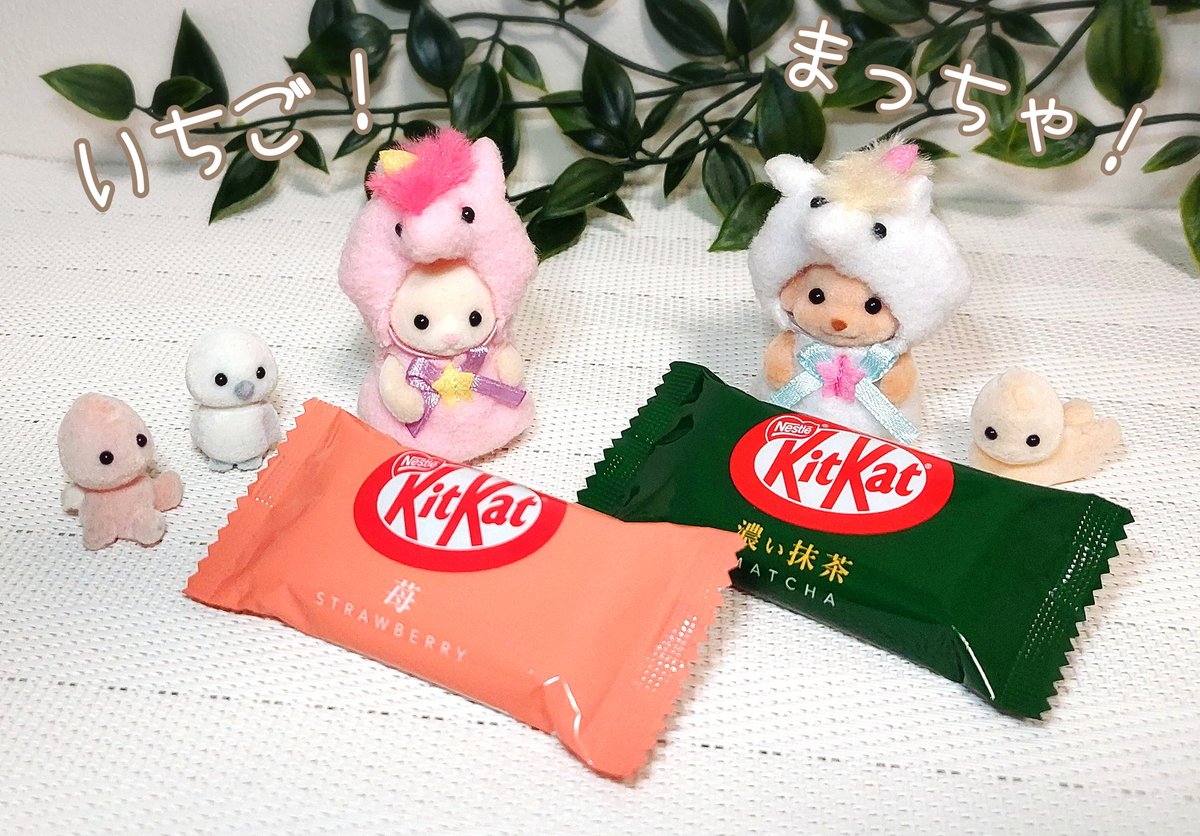 山乃 大和 tweet media